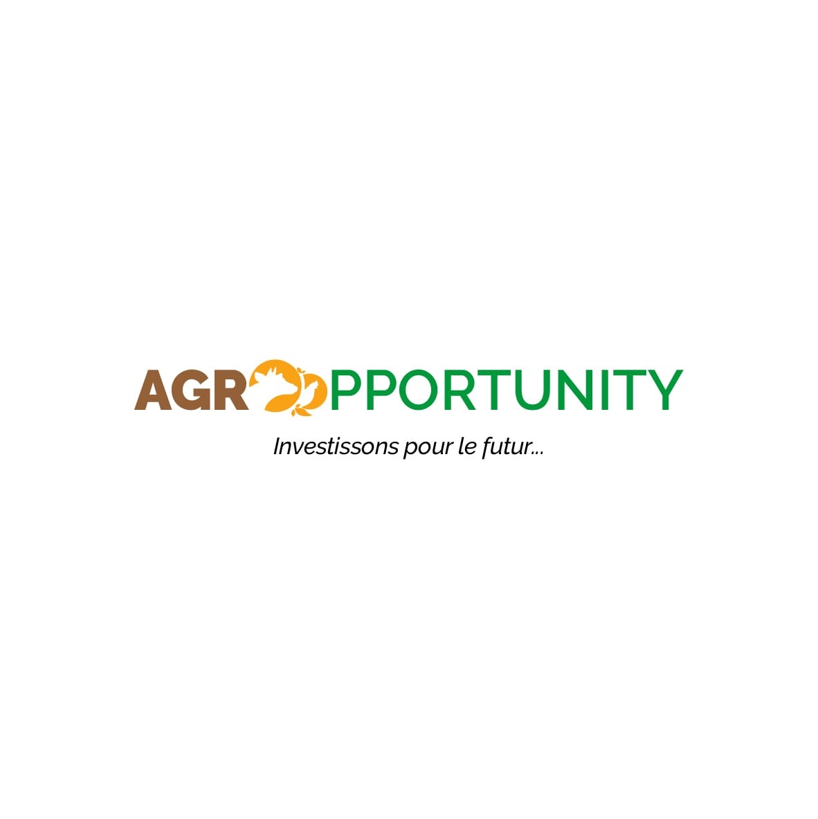 3. AGRO OPPORTUNITY