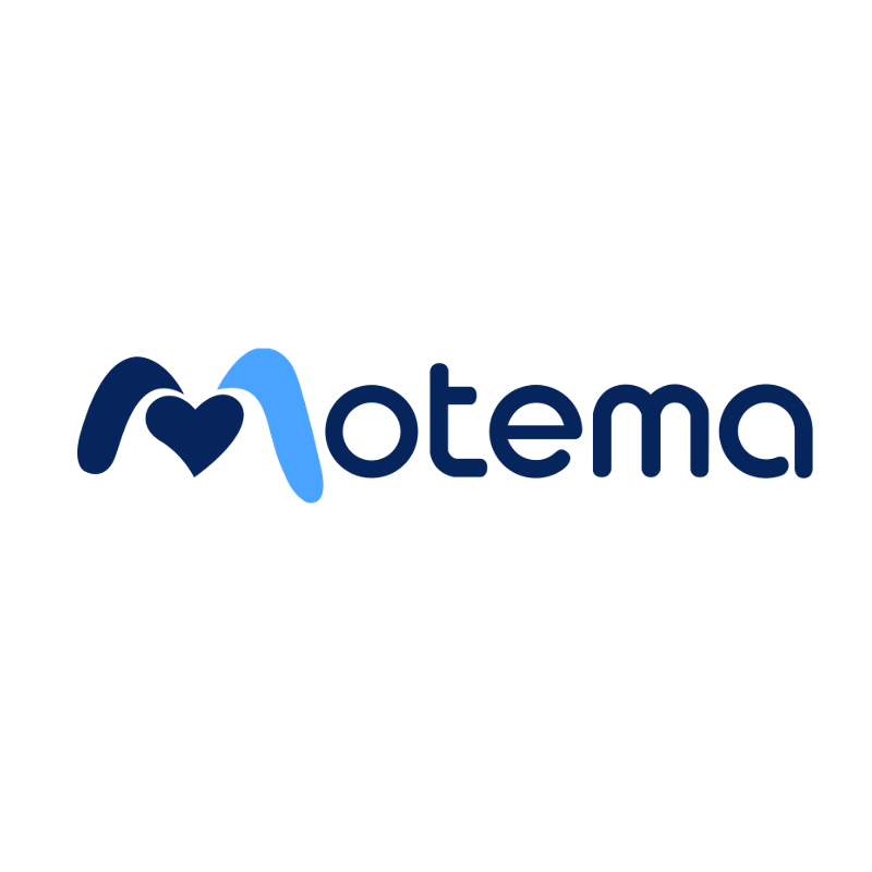 2. Partner MOTEMA